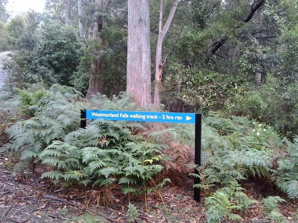 Mole Creek Karst National Park