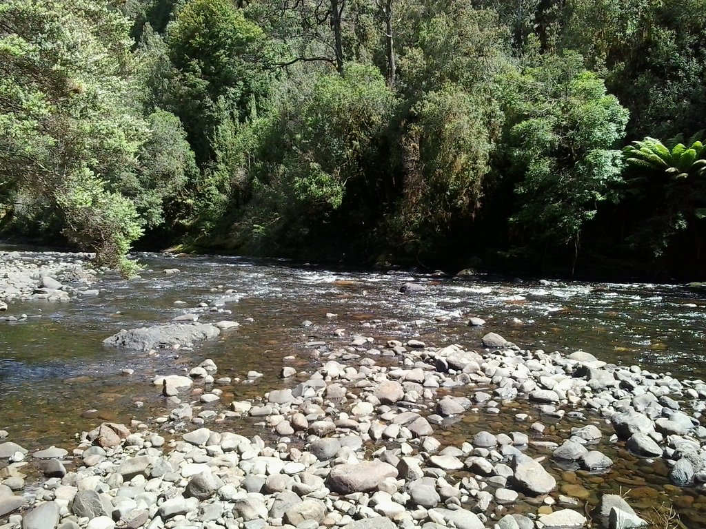 Hellyer Gorge State Reserve