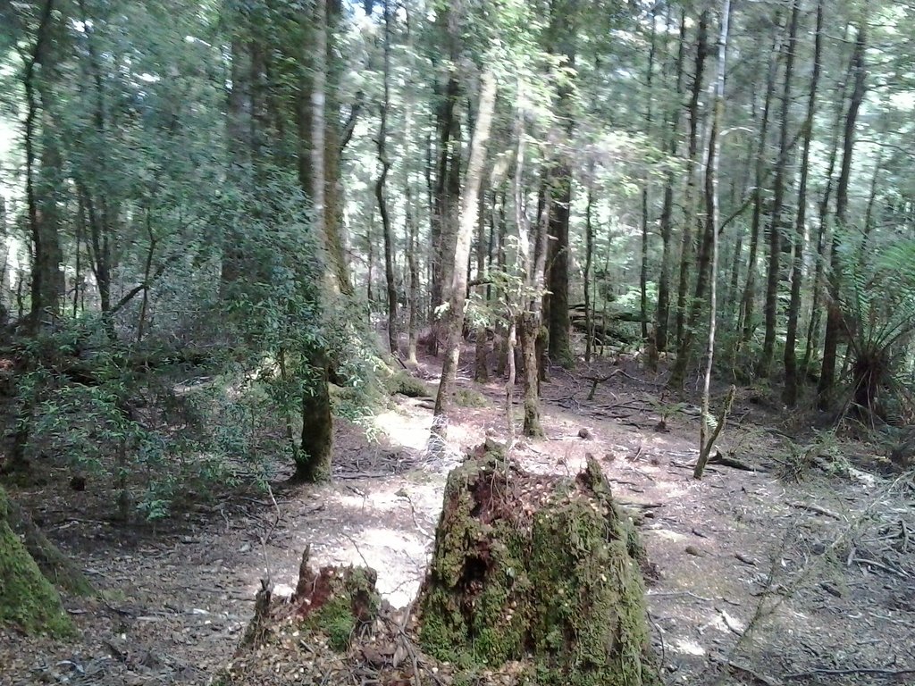 Hellyer Gorge State Reserve